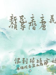 新民主主义革命领导阶层