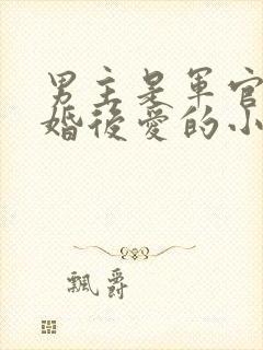 男主是军官的先婚后爱的小说