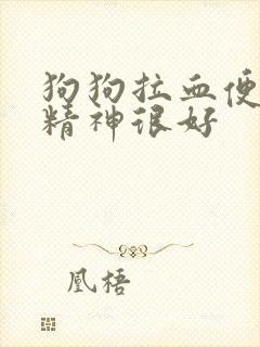 狗狗拉血便但是精神很好