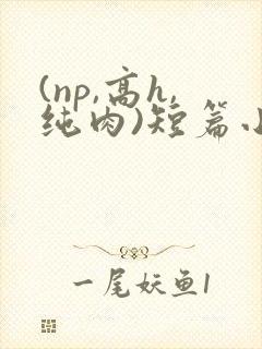 (np,高h,纯肉)短篇小说