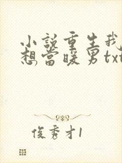 小说重生我真没想当暖男txt