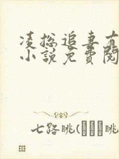 凌总追妻有点甜小说免费阅读