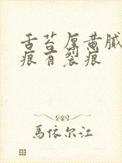 舌苔厚黄腻有齿痕有裂痕