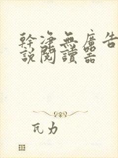 干净无广告的小说阅读器