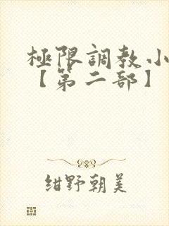 极限调教小女友【第二部】