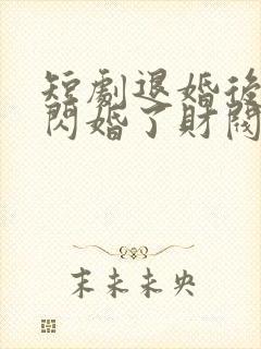 短剧退婚后,我闪婚了财阀大佬