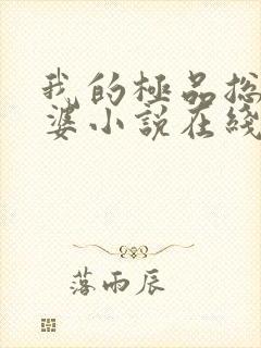 我的极品总裁老婆小说在线阅读