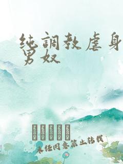 纯调教虐身惩罚男奴