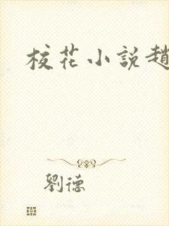 校花小说赵诗宁