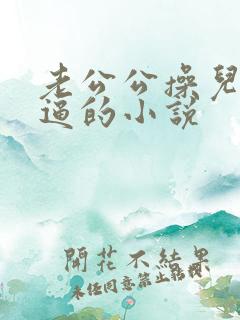 老公公操儿媳妇逼的小说