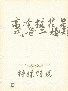 高冷校花是我妹 我爸二婚短剧