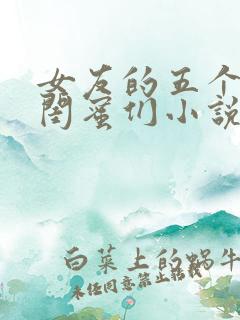 女友的五个放荡闺蜜们小说