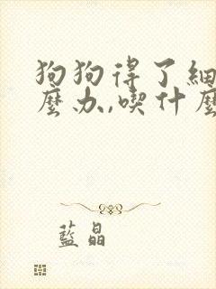 狗狗得了细小怎么办,吃什么药