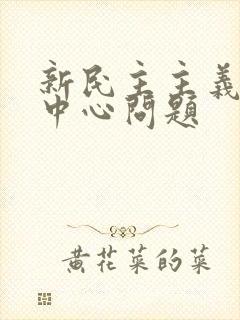 新民主主义革命中心问题