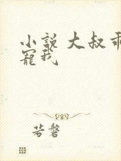 小说 大叔乖乖宠我