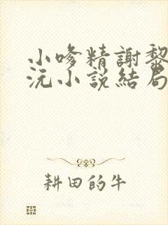 小嗲精谢黎宋沅沅小说结局