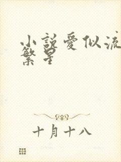 小说爱似流萤遇繁星