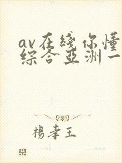 av在线你懂的综合亚洲一区