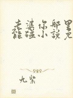 老婆你哪里我不能碰小说免费阅读