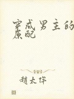 穿成男主的炮灰原配