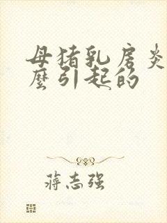 母猪乳房炎是怎么引起的