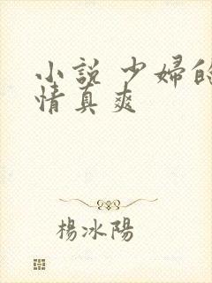 小说 少妇的激情真爽