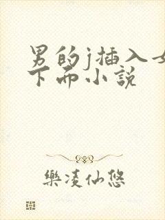 男的j插入女的下面小说