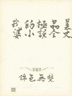 我的极品美女老婆小说全文免费读