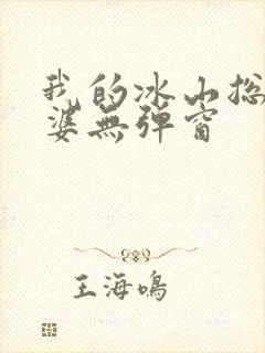 我的冰山总裁老婆无弹窗