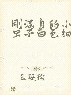 刚满月的小狗拉虫子白色细长的