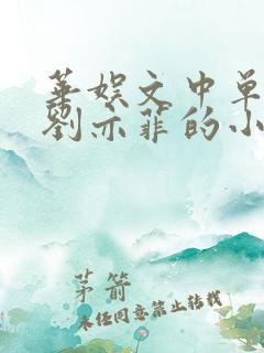 华娱文中单女主刘亦菲的小说