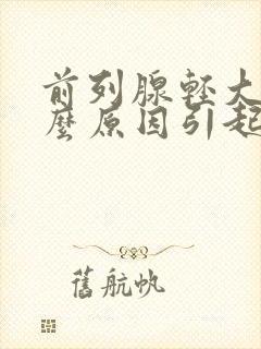 前列腺轻大是什么原因引起