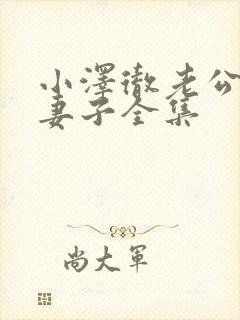 小泽彻老公原谅妻子全集