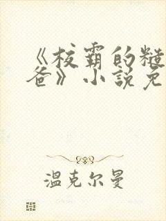 《校霸的糙汉爸爸》小说免费阅读