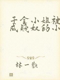 千金小姐被调教成贱奴的小说阅读