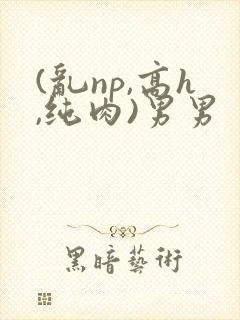 (乱np,高h,纯肉)男男