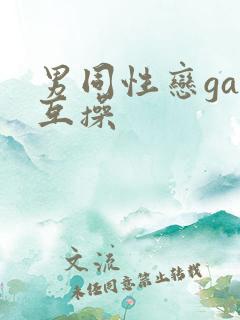 男同性恋gay互操