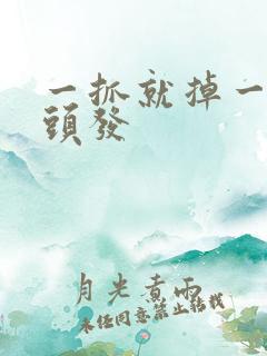 一抓就掉一大把头发