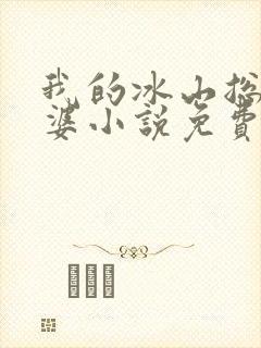 我的冰山总裁老婆小说免费阅读