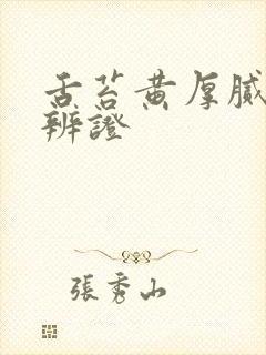 舌苔黄厚腻中医辨证