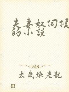 夫妻奴伺候主人的小说