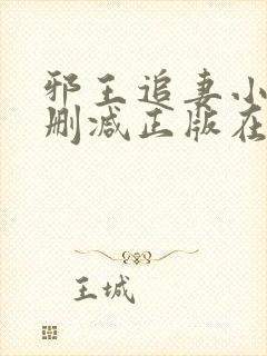 邪王追妻小说无删减正版在线阅读