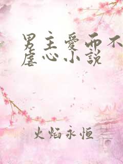 男主爱而不得的虐心小说