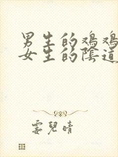 男生的鸡鸡插入女生的阴道视频