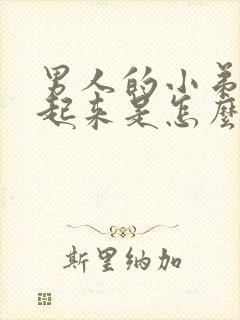 男人的小弟硬不起来是怎么回事