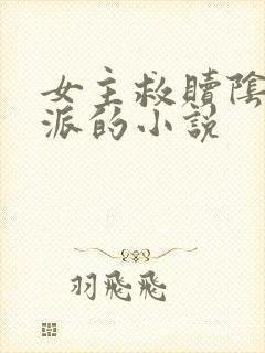 女主救赎阴暗反派的小说