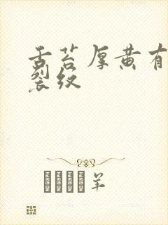 舌苔厚黄有齿痕裂纹