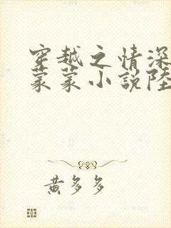 穿越之情深深雨蒙蒙小说陆尔杰结局