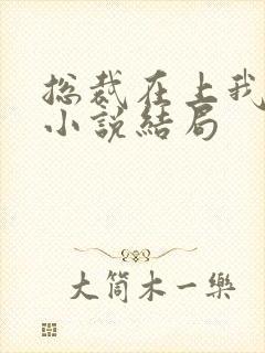 总裁在上我在下小说结局