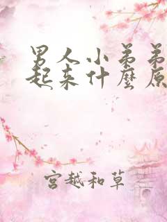 男人小弟弟硬不起来什么原因